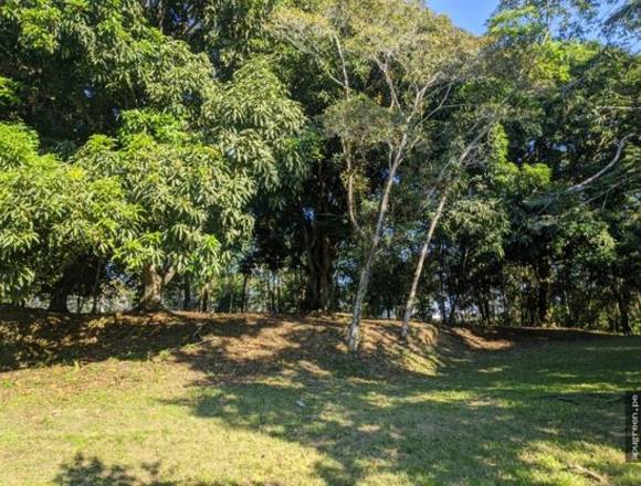 Gran Terreno de calidad - Laguna Venecia - Tarapoto