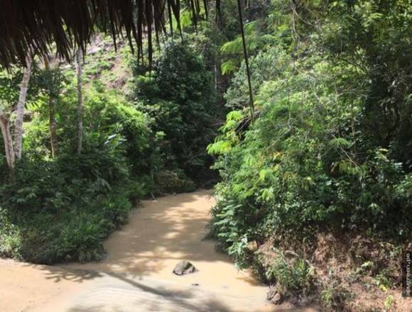 2 HECTAREAS PRIVILEGIADAS EN SAN ROQUE DE CUMBAZA