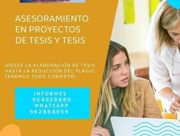 ASESORIA EN PROYECTOS DE TESIS Y TESIS