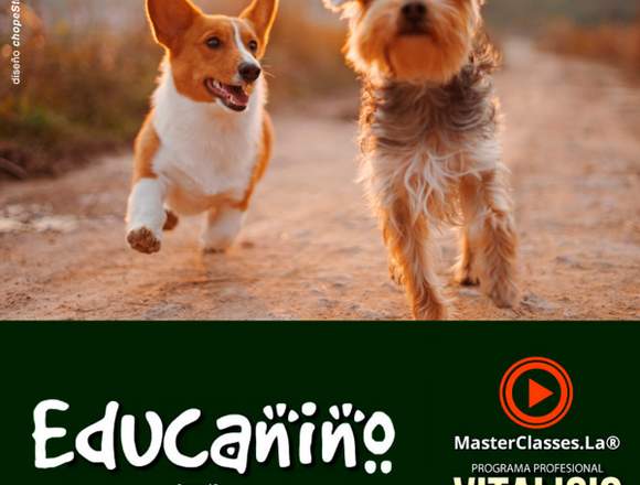 Curso de Adiestramiento Canino en videos