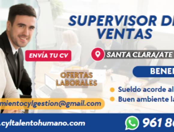 20 SUPERVISOR DE VENTAS