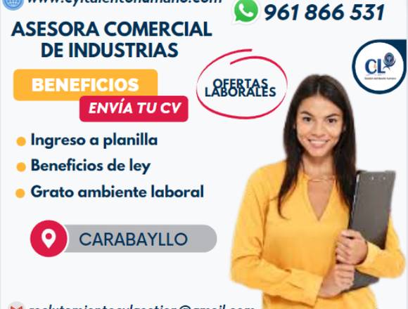 20 ASESORA COMERCIAL C/S EXPERIENCIA