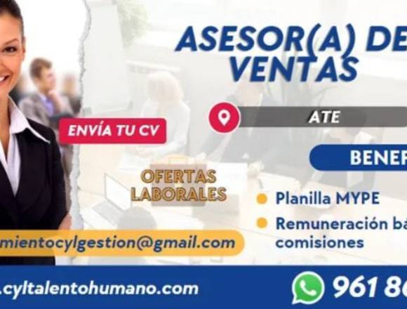 20 ASESORES DE VENTAS -  SANTA CLARA(ATE)