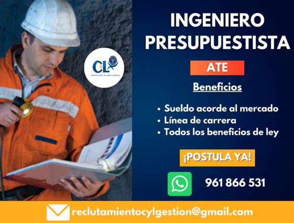 INGENIERO PRESUPUESTISTA