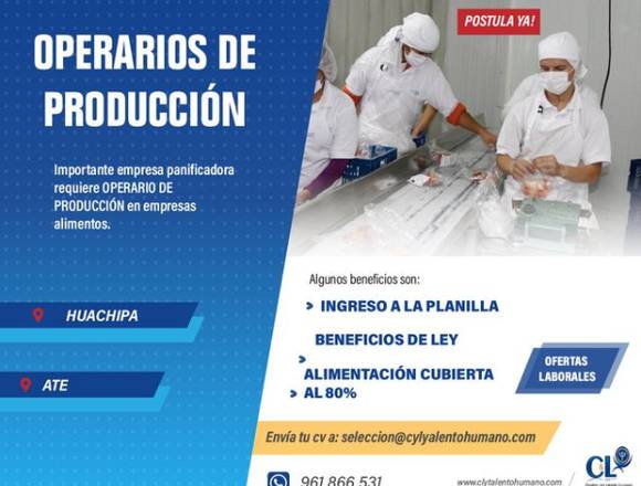 60 OPERARIOS DE PRODUCCIÓN Con/Sin EXP- HUACHIPA