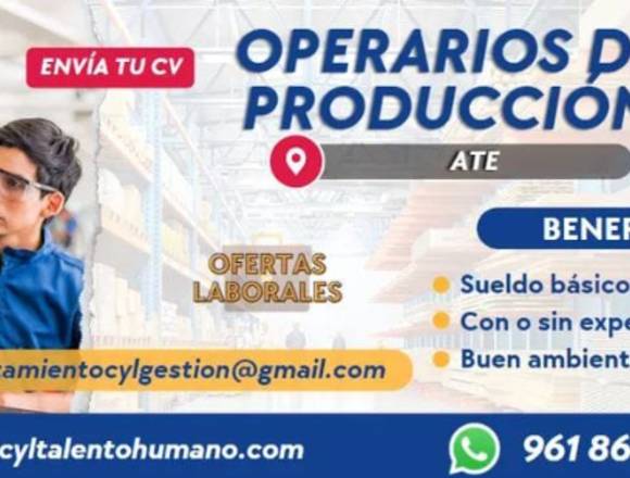 60 OPERARIO DE PRODUCCIÓN C/S EXPERIENCIA-ATE