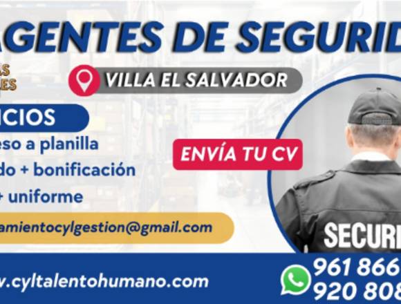 20 Agentes de Seguridad Villa el Salvador
