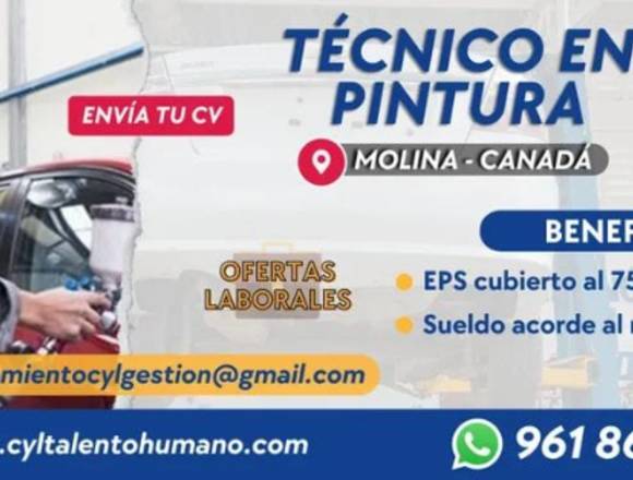  15 TÉCNICO DE PINTURA AUTOMOTRIZ SEDE LA MOLINA