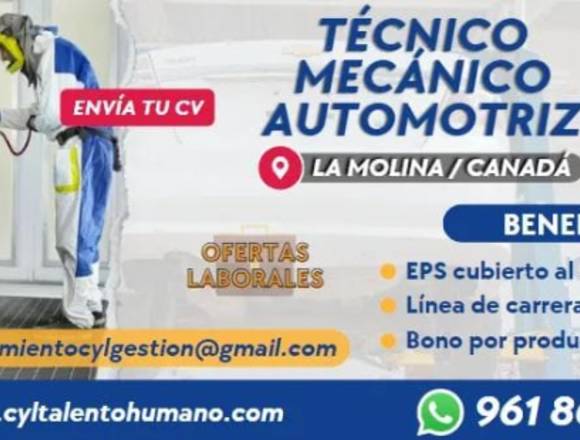 15 TÉCNICOS MÉCANICOS AUTOMOTRIZ SEDE LA MOLINA