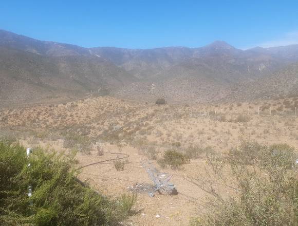 Terrenos Coquimbo Manzano  La Cortdera