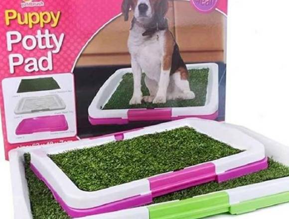 Baño urinario ecológico portátil para mascotas big