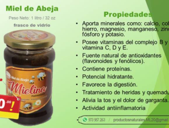 Miel 100% Natural (1 Litro)