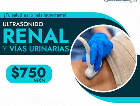 ULTRASONIDO RENAL Y VIAS URINARIAS 