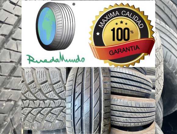 205/55R16 91V CUBIERTAS SEMINUEVAS