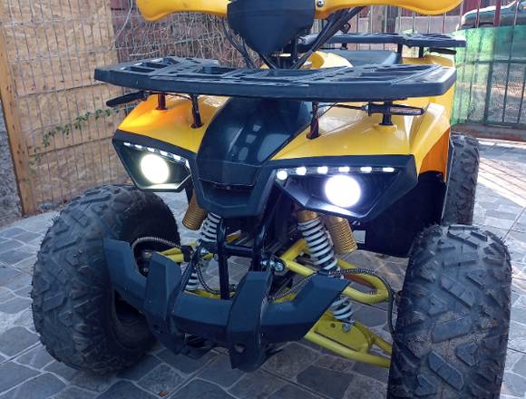 Cuatrimoto led hunter