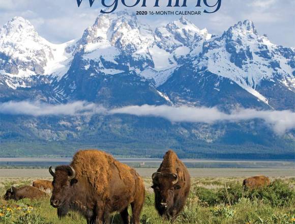 Registra una empresa nueva en el Estado de Wyoming