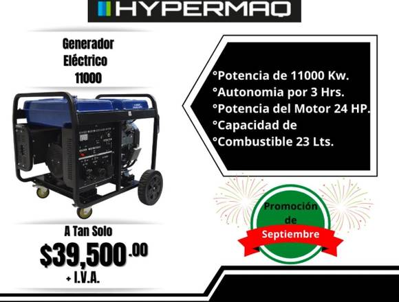 Generador Electrico 11000