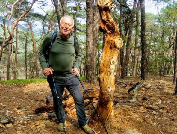 Urtümlich | Abenteuerlich | PfälzerWald Ranger