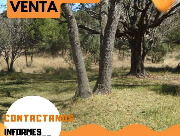 TERRENO EN VENTA EN YAUHQUEMEHCAN