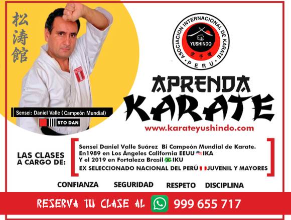 KARATE YUSHINDO - CLASES DE KARATE EN MIRAFLORES