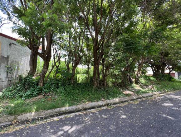 Se vende Terreno Rohrmoser, San José #1238