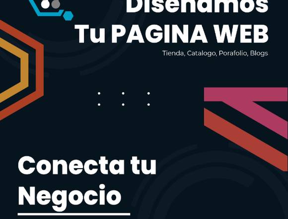 Diseño profesional de pagina web