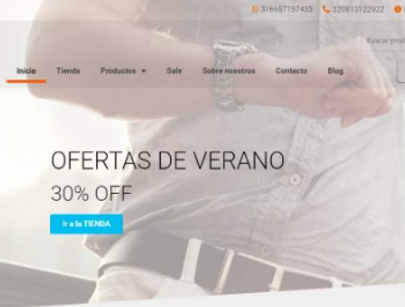 Diseño profesional de páginas web Freelancer