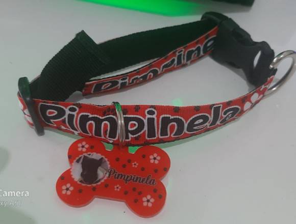 placas y collares para mascota personalizados 