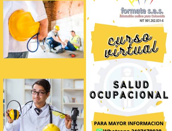 CURSO ONLINE SALUD OCUPACIONAL 