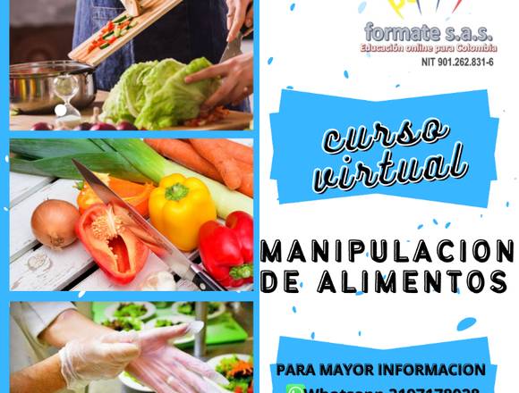 CURSO VIRTUAL MANIPULACION DE ALIMENTOS 