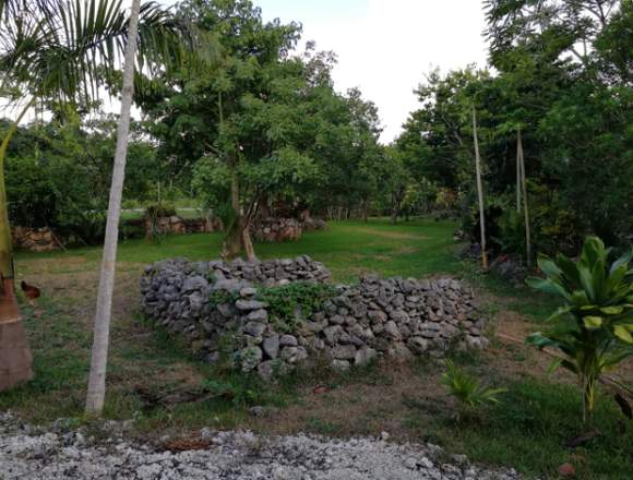 TERRENO CON CENOTE COMUNAL