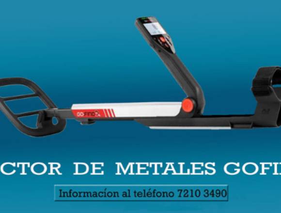 Detector de Metales 