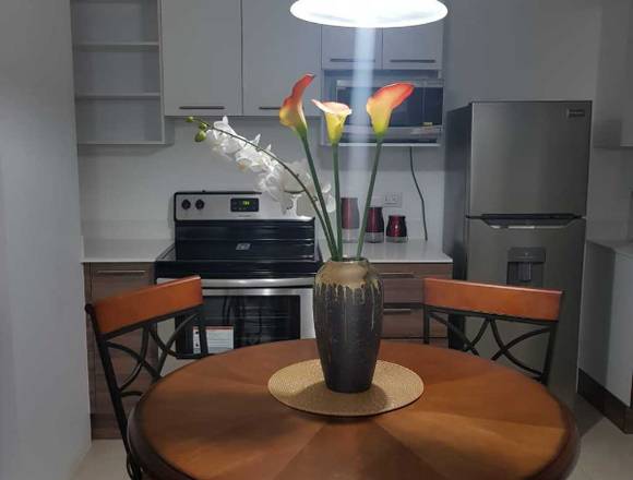 LINDO APARTAMENTO EN ALQUILER AMUEBLADO Z.11