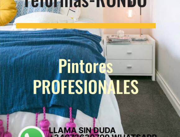 Pintores PROFESIONALES