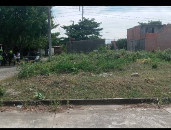 Venta Lote flandes tolima