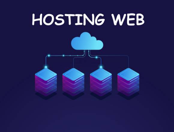 Hosting web profesional 