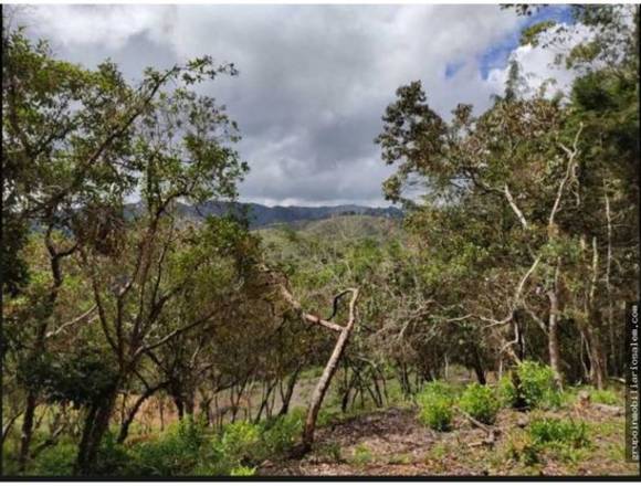 Venta Lote Guarne vereda La Enea, Antioquia, Colombia