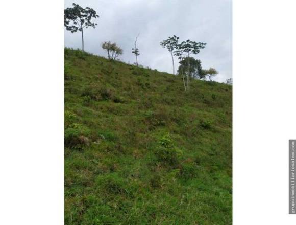 Venta lote municipio el peñol Antioquia colombia