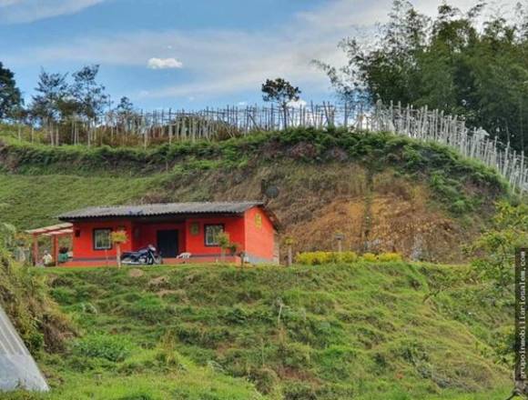 Venta casa lote vereda marial sector la honda el peñol Antioquia