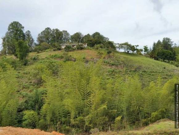 Venta lote el peñol vereda marial la honda Antioquia colombia