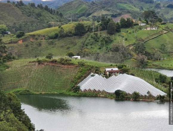 Venta lote el peñol vereda marial la honda