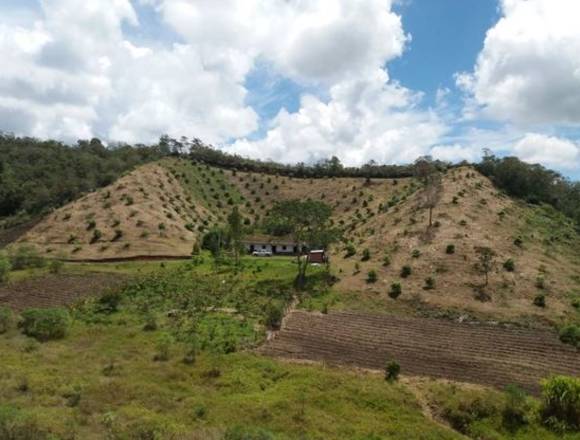 Venta finca San Vicente, Antioquia