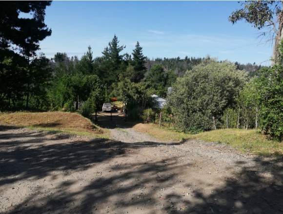 Terreno de 20ha en Chancal alto, Quillón