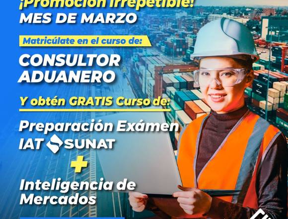 CURSO DE ESPECIALIZACION CONSULTOR ADUANERO