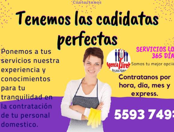 Brindamos soluciones en personal domestico