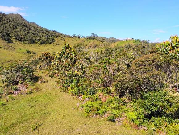 Vencambio finca de 149 hectáreas 