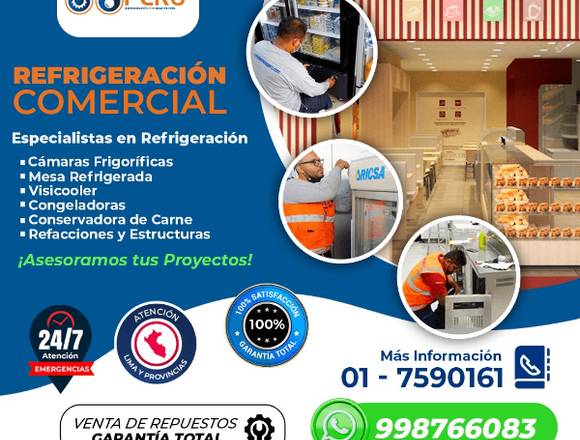 PROFESIONALES DE REPARACION DE CONGELADORAS