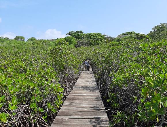 Lote en Venta Cholon isla Baru