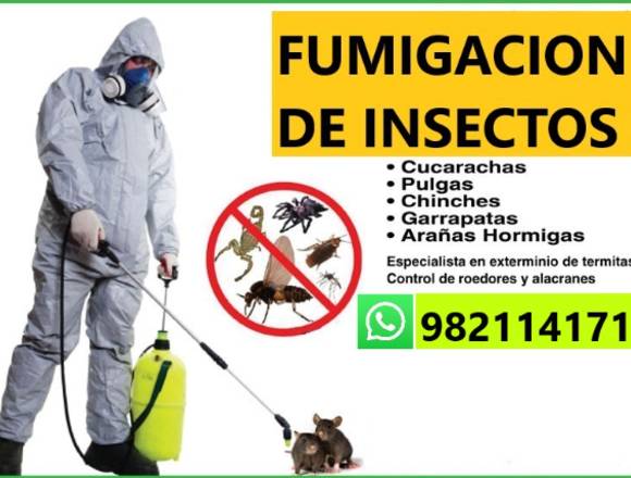 Fumigación de INSECTOS en Lima