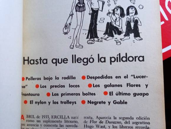 EDICIÓN ESPECIAL PERIODÍSTICA, DE REVISTA ERCILLA